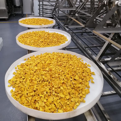 OEM ODM อุตสาหกรรมไมโครเวฟเครื่องดูดฝุ่นอบอะโวคาโดผลไม้เขตร้อนเตาอบแห้ง