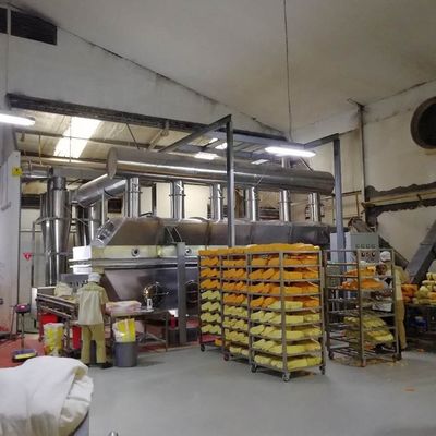 WKS Vibro Fluid Bed เครื่องเป่า Zinc Sulfate Heptahydrate Polypropylene Pellet Dryer Machine